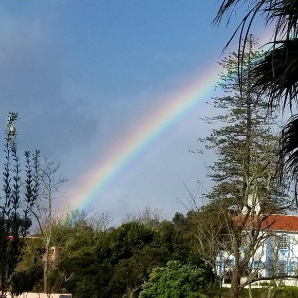 Meet your Posher, Laura - Picture 3 of 3